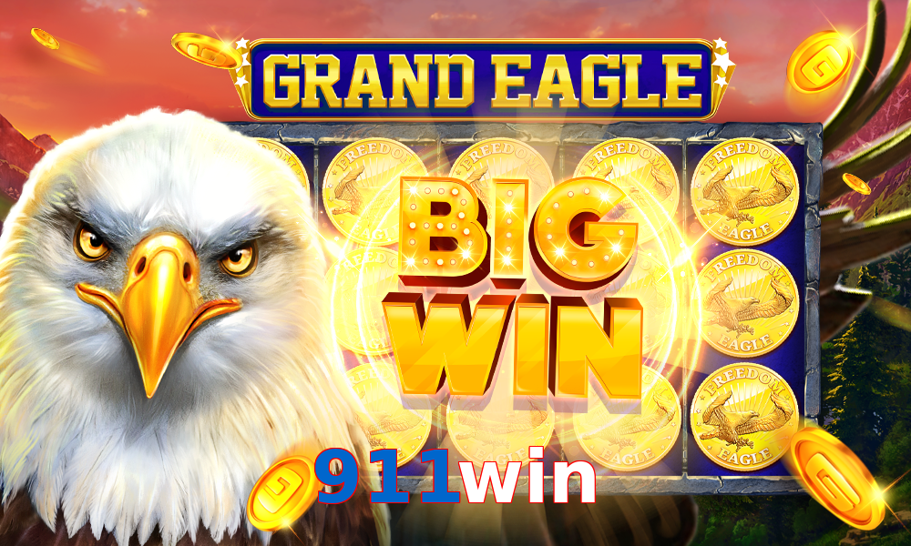 911win