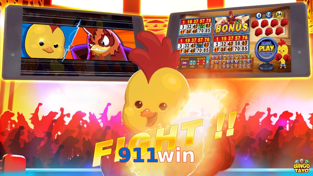 911win