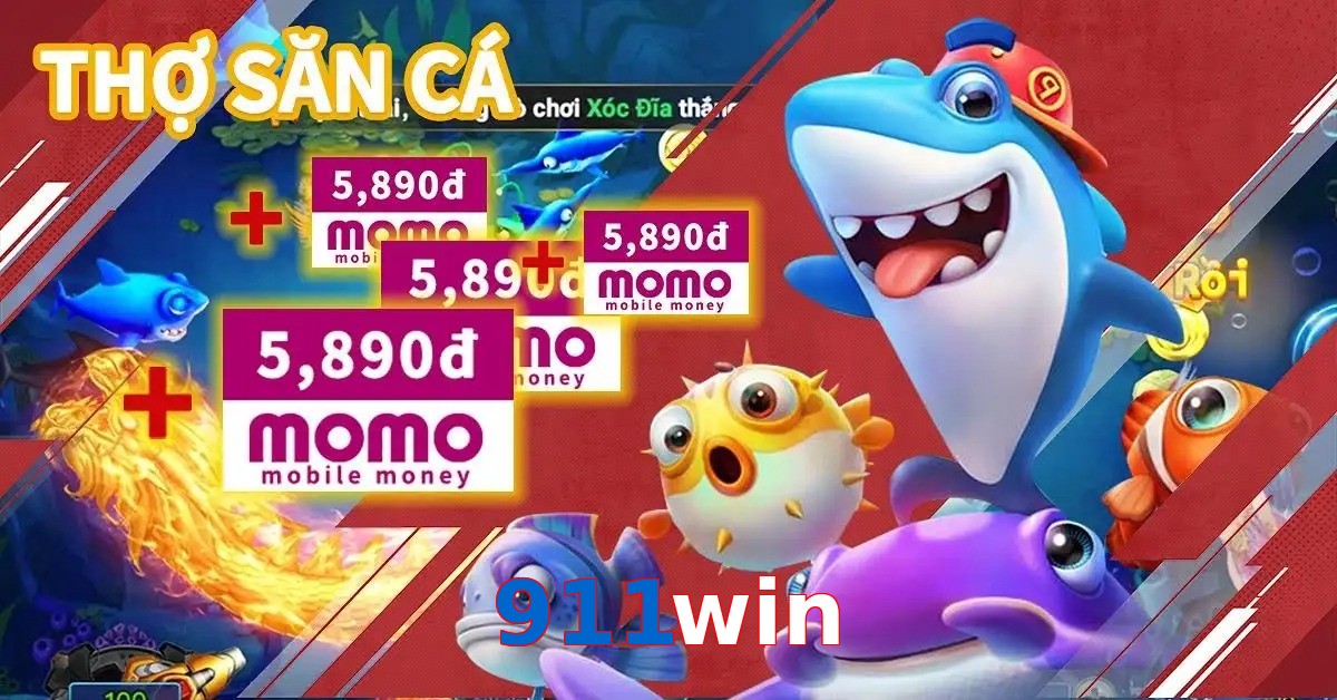 911win