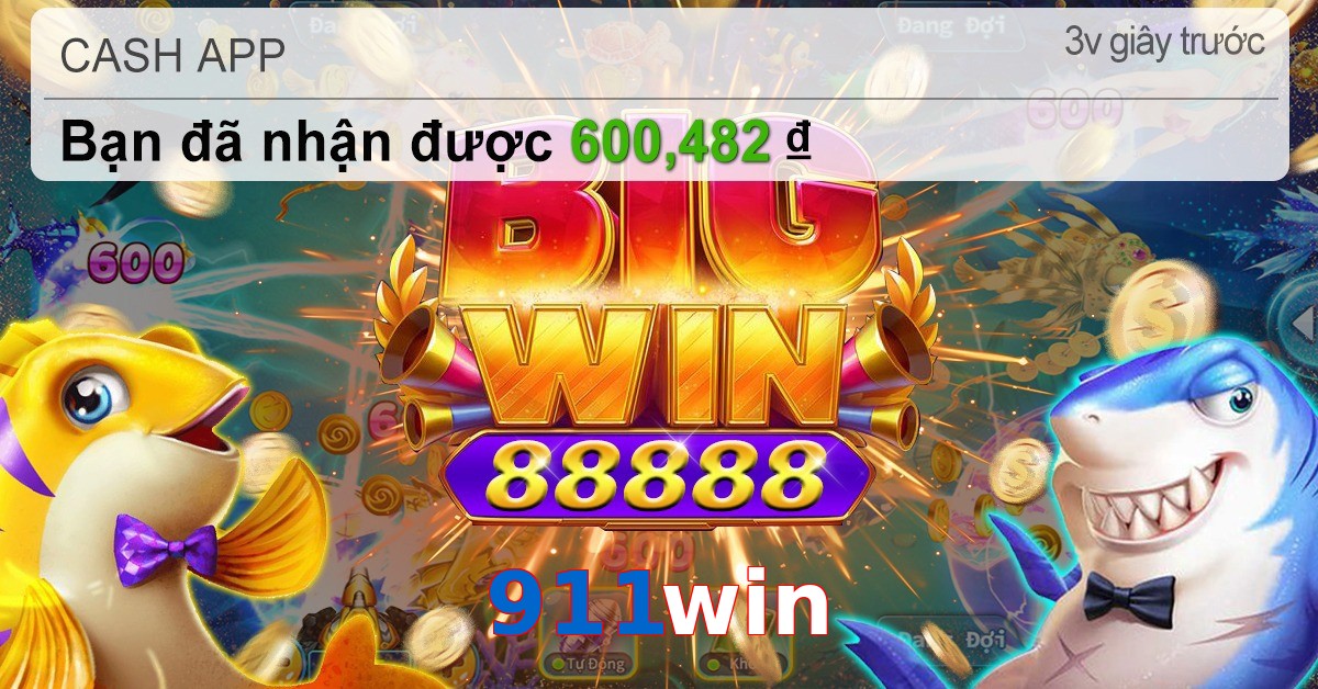 911win